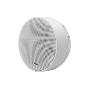3-6W Divar üstü dinamik DSP5311 DSPPA