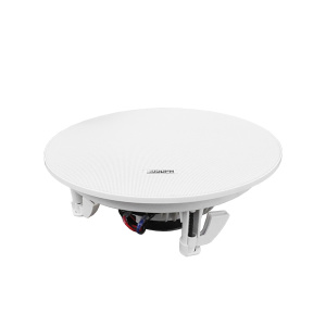 35W Çərçivəsiz tavan dinamiki DSP5012L DSPPA