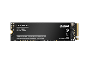 SSD-C900N256G