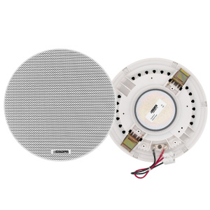 6W Потолочный громкоговоритель DSP6011L DSPPA