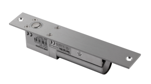 Pro Series Bolt Electric Lock / DS-K4T100