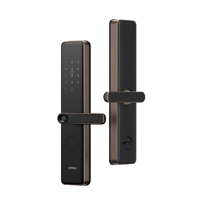 Door Lock K1G (ASL-K1-G(F)-W-EN-imou)