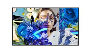 43-inch High Brightness Digital Signage / DS-D6043UH-DP