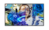 32-inch Slim Digital Signage / DS-D6032FN-DP