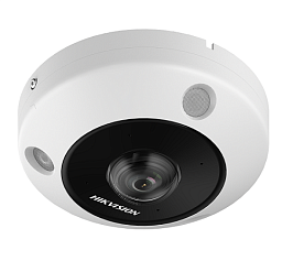 6 MP DeepinView Fisheye Network Camera /  DS-2CD6365G1-IVS