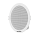 Analog Ceiling Speaker 6W / DS-QAE0206G1-V