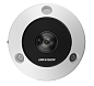 6 MP DeepinView Fisheye Network Camera / DS-2CD6365G1-IVS