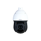 SD49216DB-HNY   