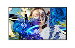 43-inch Slim Digital Signage / DS-D6043UN-DP