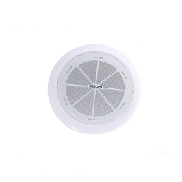 6W Потолочный громкоговоритель DSP802 DSPPA