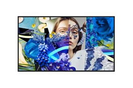 55 düymlük nazik rəqəmsal tablo / DS-D6055UN-DP