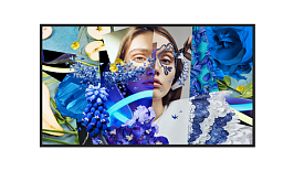 43-inch High Brightness Digital Signage / DS-D6043UH-DP