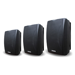 30W Настенный динамик DSP6062IIB/W DSPPA