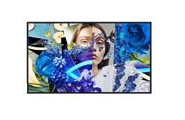 65-inch Slim Digital Signage / DS-D6065UN-DP