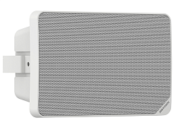 Analog Cabinet Speaker 20W / DS-QAE0120G1R/EN