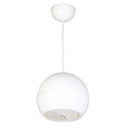 15W Подвесной динамик DSP107W DSPPA