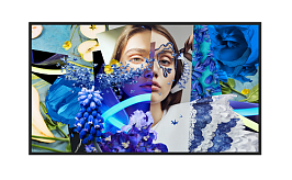 32-inch Slim Digital Signage / DS-D6032FN-DP